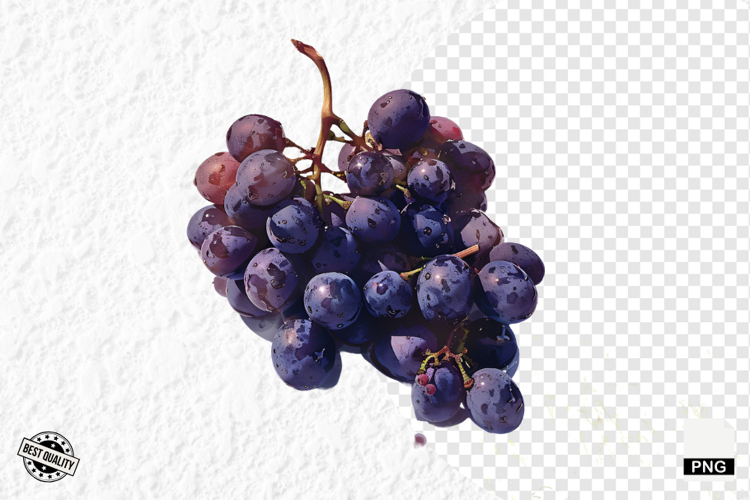 Summer Grapes Vine Clipart