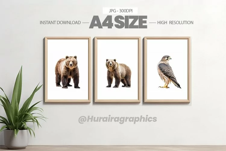 Animal Wall Art - 03 Variations