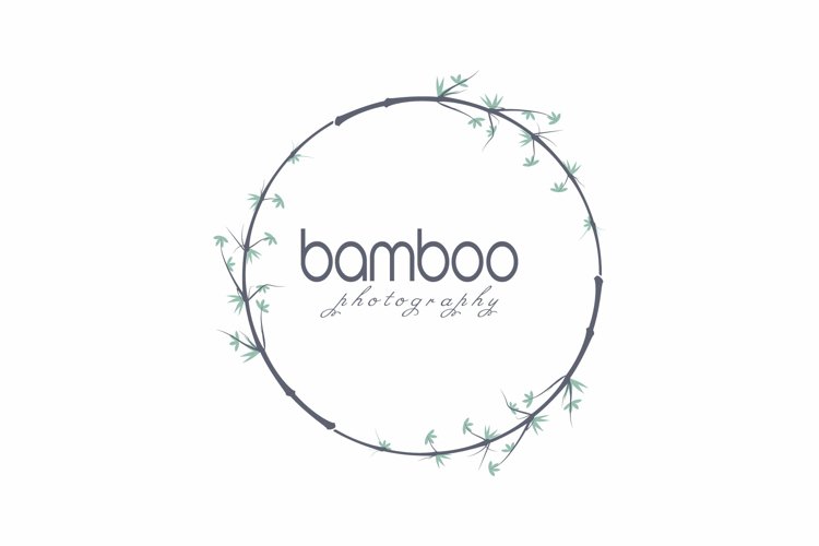 Bamboo Illustration Image 10