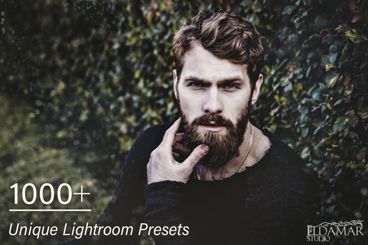 1000 Unique Lightroom Presets example image 1