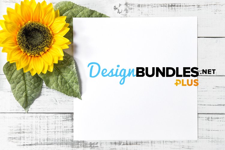 Sunflower Background Image 9