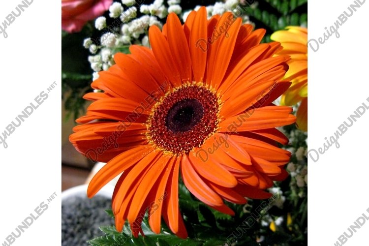 Flower Garden Clipart Image 5