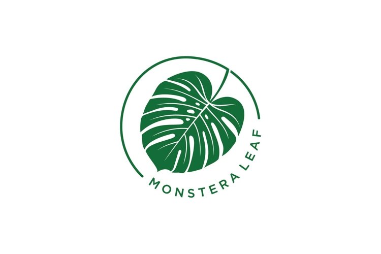 Monstera Illustration Image 21
