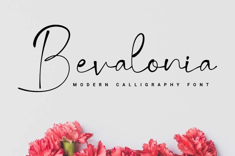 Bevalonia example image 1