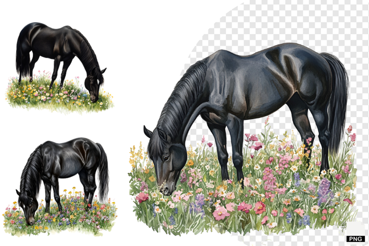 Watercolor Horse PNG