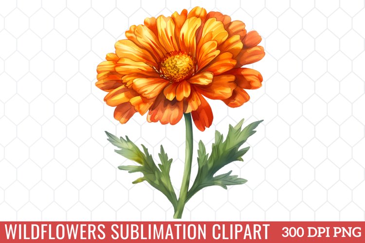 Spring Clipart Image 2