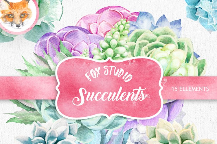 Watercolour Succulent clipart, wedding clip art, flower example image 1