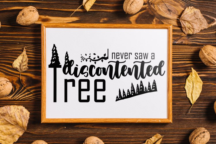 I Never Saw A Discontented Tree