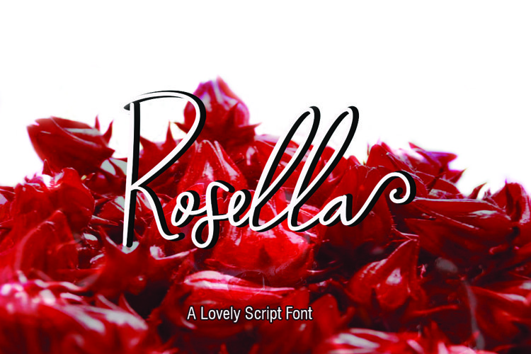 Rosella Script example image 1