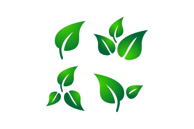 Leaf Logo Design Image 22