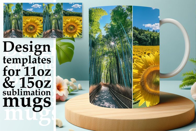 Sunflowers Png Image 22