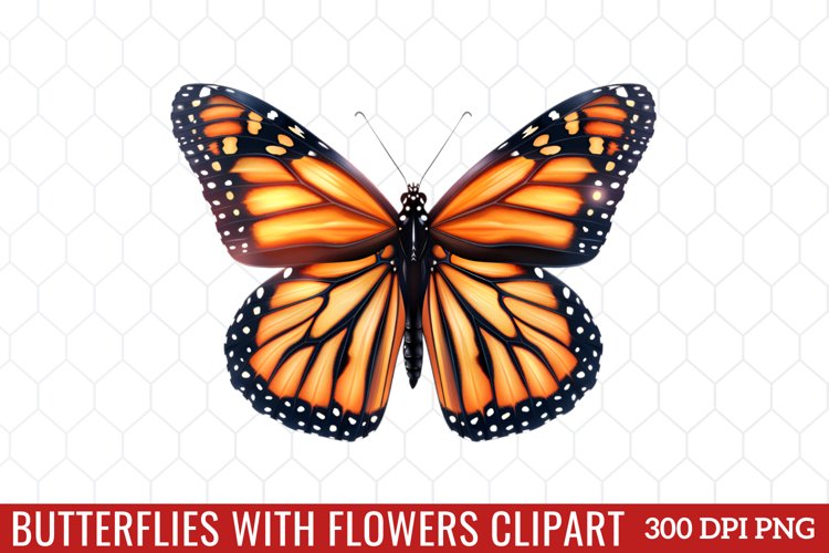 Butterfly Clipart Image 10