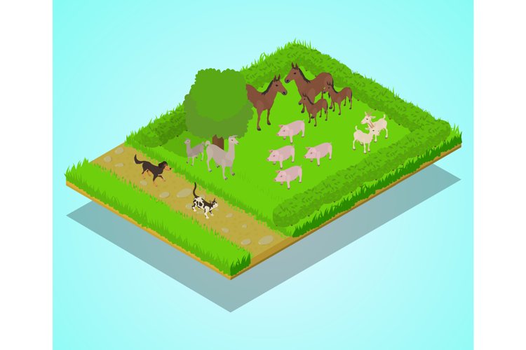 Domestic animal concept banner, isometric style