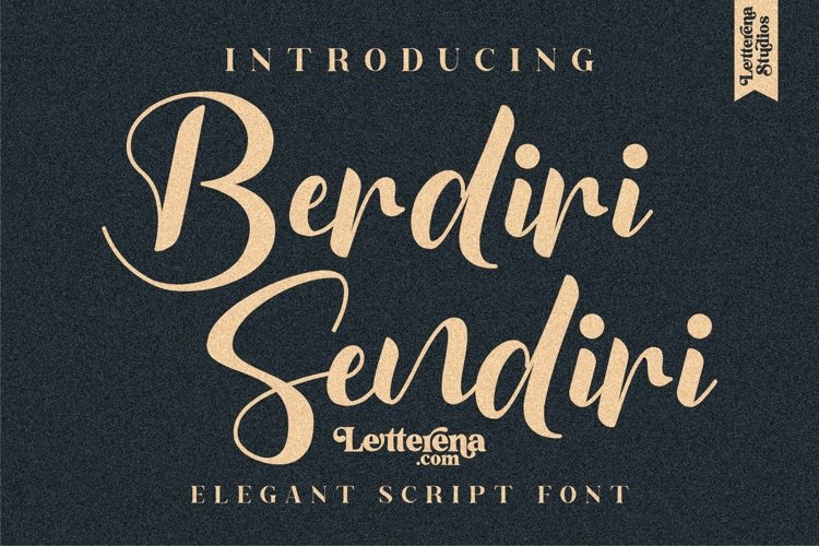 Berdiri Sendiri - Elegant Script Font example image 1
