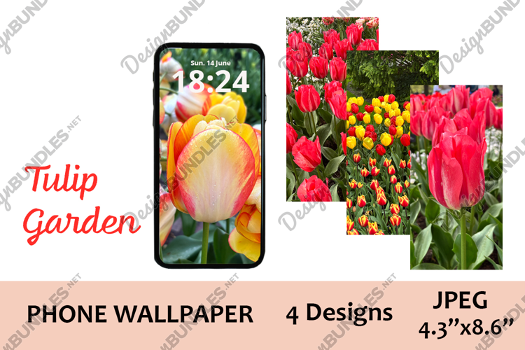 Keukenhof Tulip Aesthetic Phone Wallpapers / JPEG, PNG files