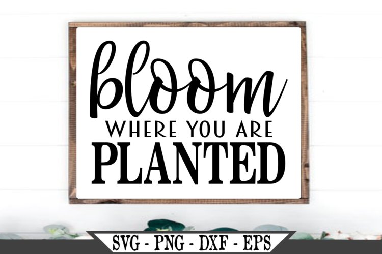 Bloom Where You Are Planted SVG example image 1