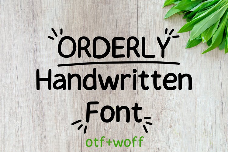Orderly Handwritten Font example image 1