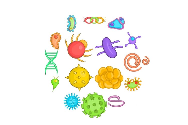 Bacteria Clipart Image 20
