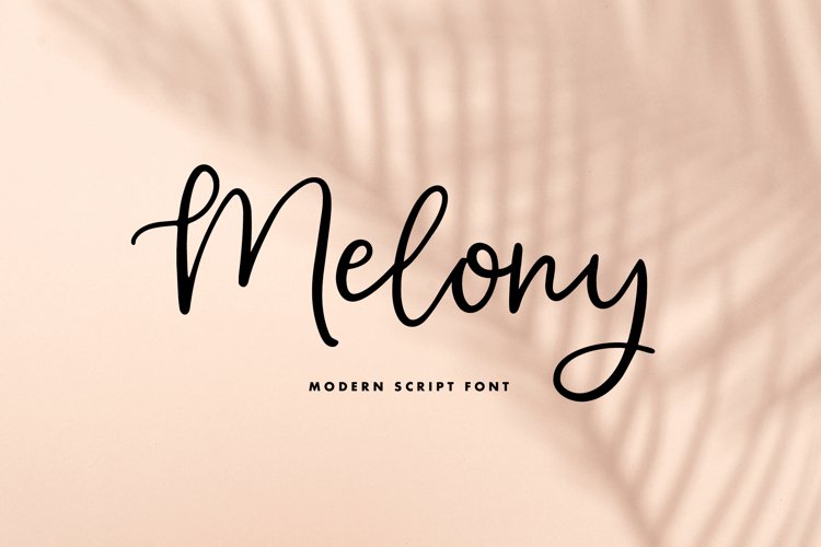 Melony | Modern Script Font example image 1