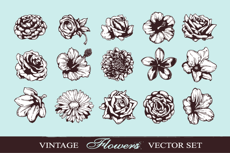 Hand-drawn Flowers