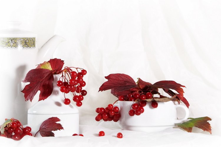Winter viburnum