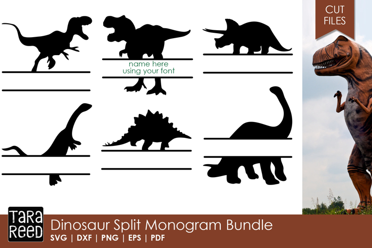 Dinosaur Split Monogram Bundle