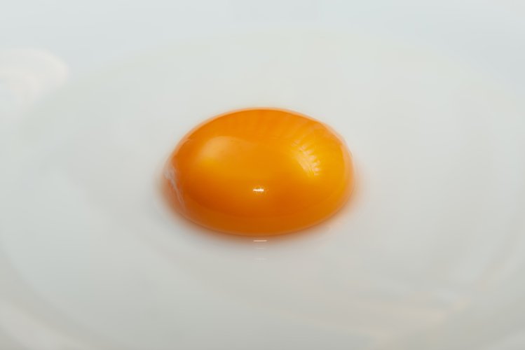 egg yolk on white plate as background example image 1