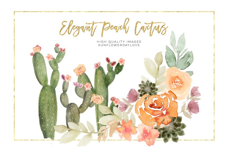 Elegant Peach Succulent Clipart Set, Cacti succulent example image 1