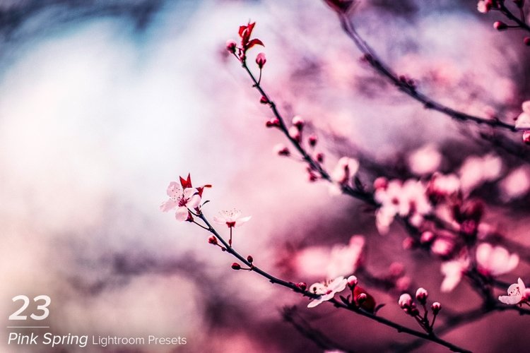 23 Pink Spring Lightroom Presets (146640)