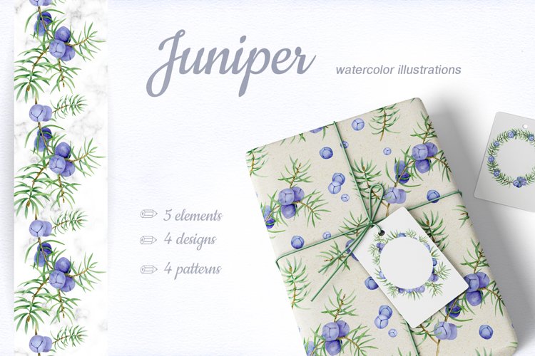 Juniper. Watercolor collection example image 1