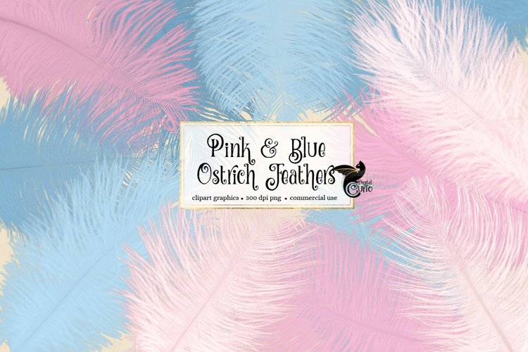 Pink and Blue Ostrich Feather Clipart example image 1