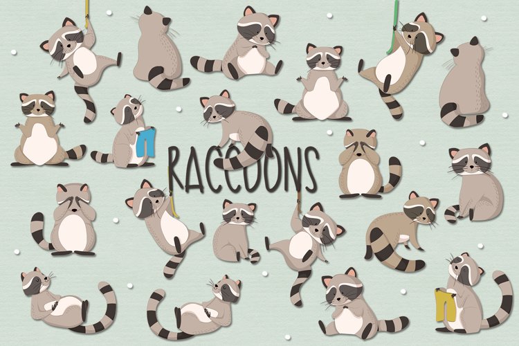 Racoons
