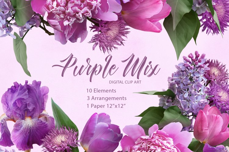 Purple mix flowers clipart. Floral arrangements. example image 1