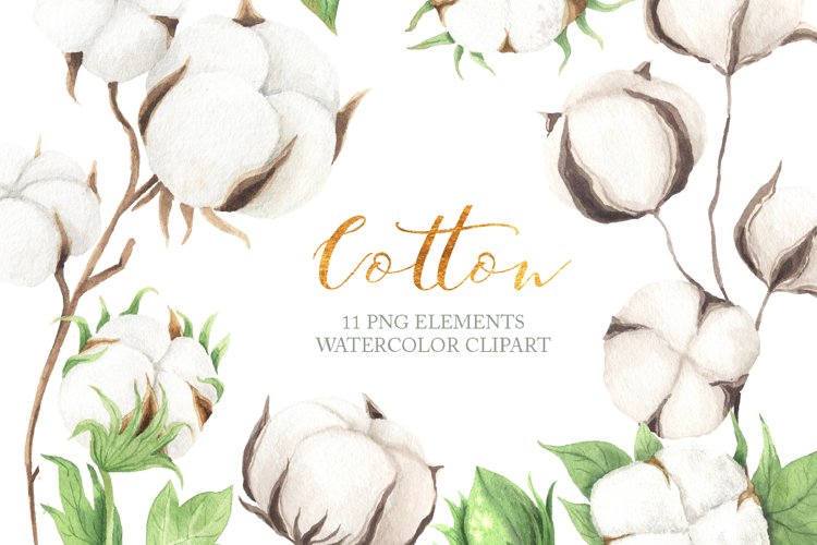 Watercolor Cotton Clipart example image 1