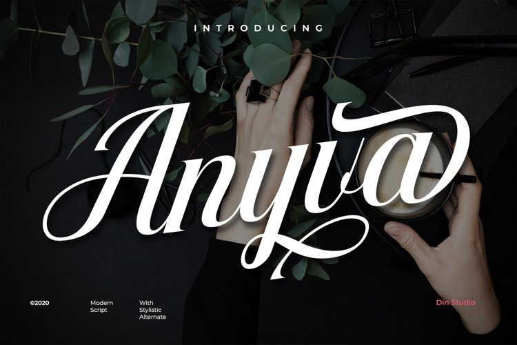 Anyva example image 1