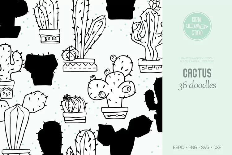 Hand Drawn Cactus | House Plants in Flower Pots