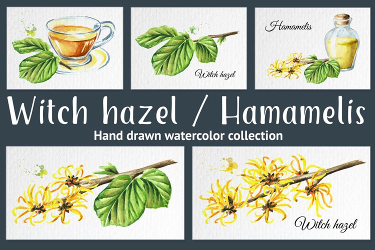Witch Clipart Image 16