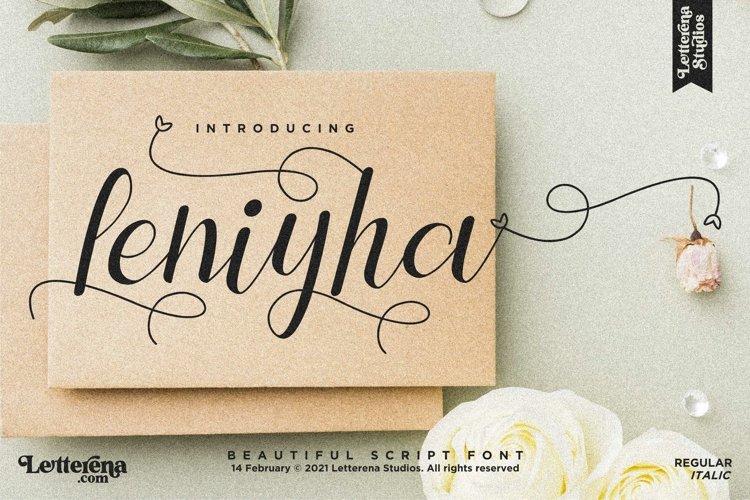 Leniyha - Beautiful Script Font example image 1