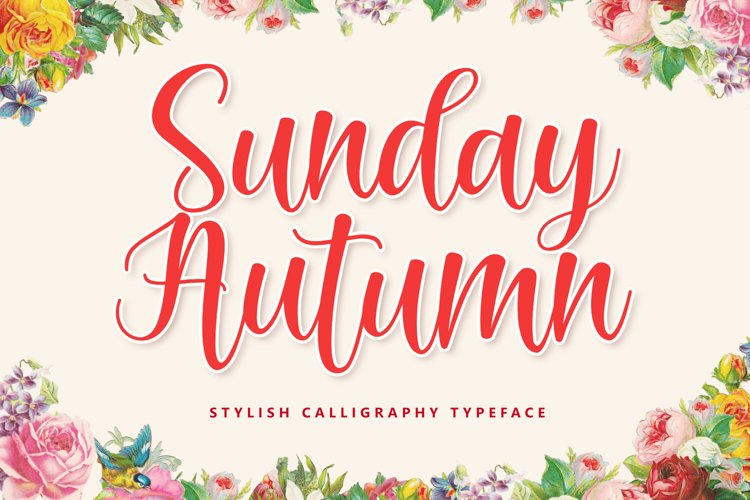 Sunday Autumn example image 1