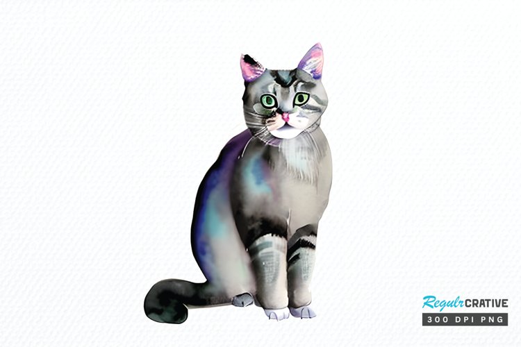 Kitten Png Image 3