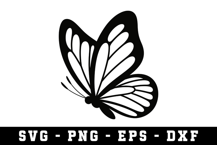 Butterfly SVG | SVG Cut files | Cricut