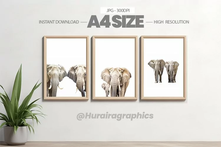 Animal Wall Art - 03 Variations