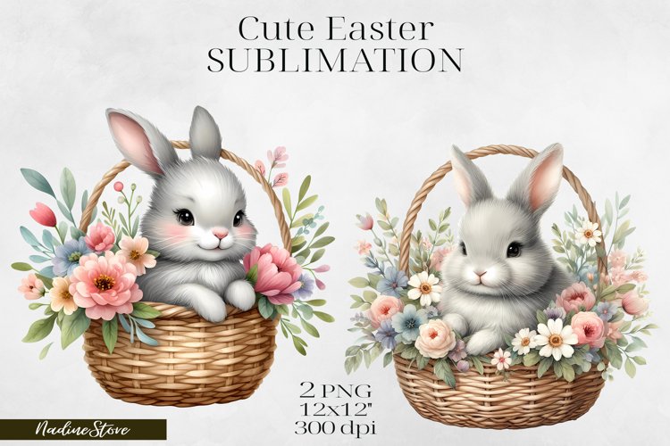 Cute Easter and Spring Clipart PNG.