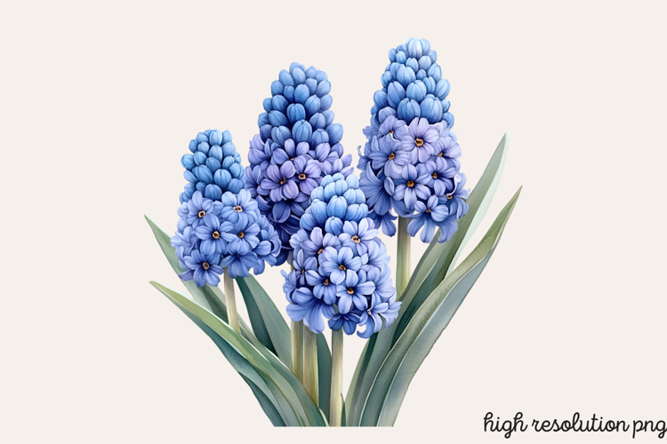 Spring Clipart Image 24