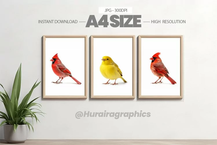Bird Wall Art - 03 Variations