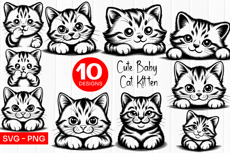 Cute Baby Kitten Clipart SVG PNG