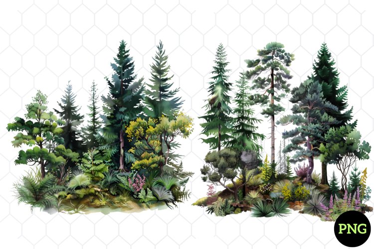 Baum Png Image 2