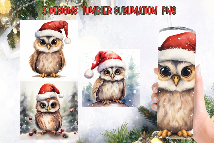 Owl Clipart Image 7