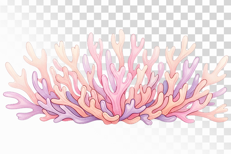 Coral Clipart Image 7