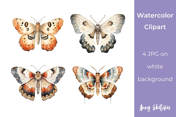 Witchy Boho Moth Clipart Celestial 4 JPG